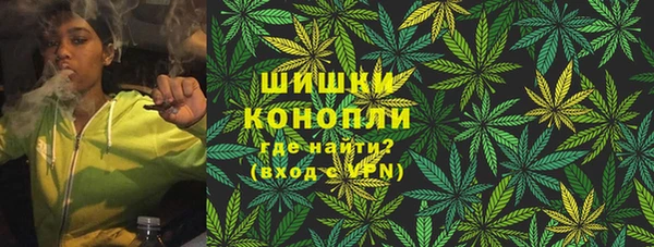 spice Осинники