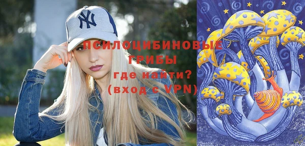 хмурый Балабаново