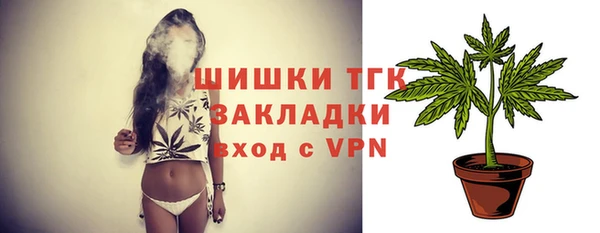 стаф Осташков