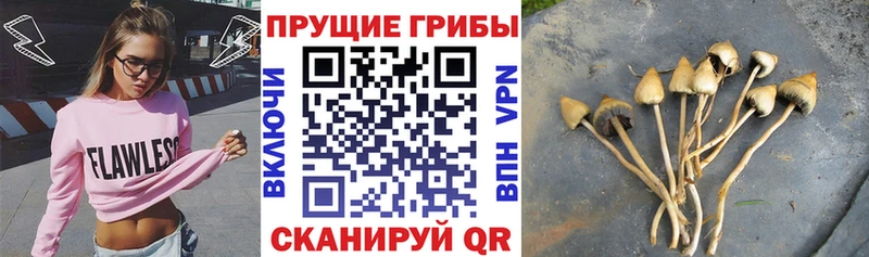 Галлюциногенные грибы Magic Shrooms наркотики Плавск