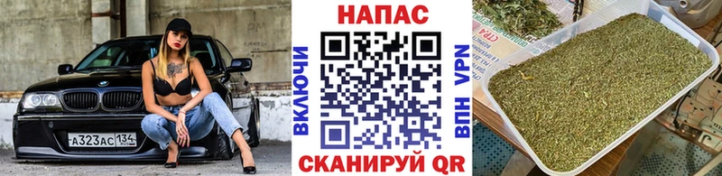 площадка состав  Плавск  Конопля Ganja 